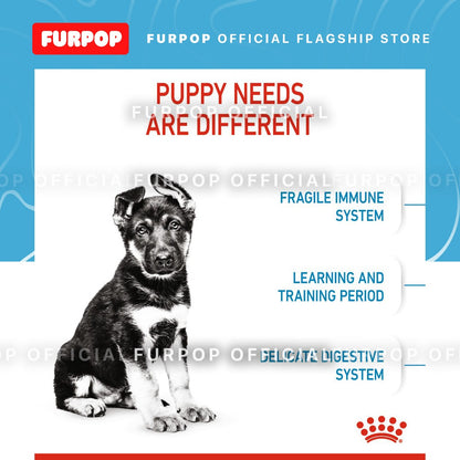 Royal Canin Maxi Puppy (4KG) Dry Dog Food - Size Health Nutrition | FURPOP