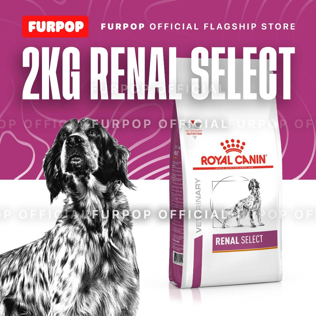 Royal Canin Renal Select (2KG) Dog Veterinary Care Nutrition | FURPOP