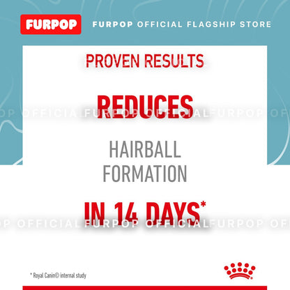 Royal Canin 12pcs Hairball Care (85g x 12 pouches) Adult Wet Cat Food - Feline Care Nutrition