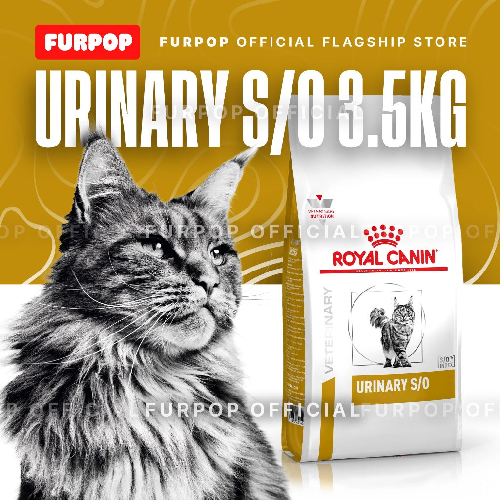 Royal Canin Urinary S/O Feline 3.5KG Dry Food For Cat Veterinary Diet VHN