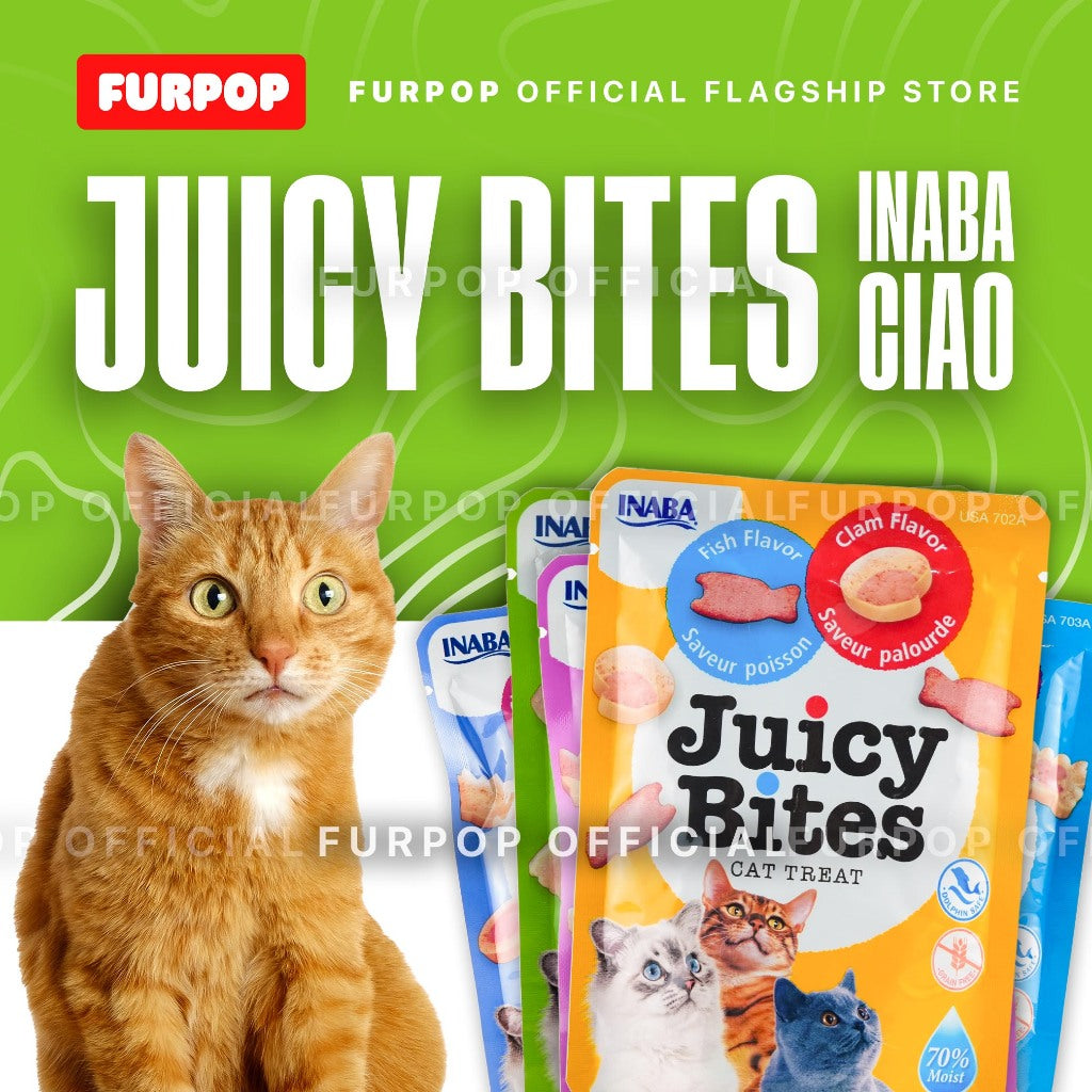 Inaba Juicy Bites Cat Treats 11.3 g