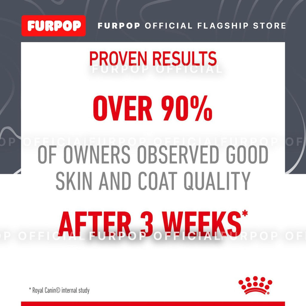 Royal Canin Hair and Skin 85gx12 Pouch Adult Wet Cat Food - Feline Care Nutrition | FURPOP