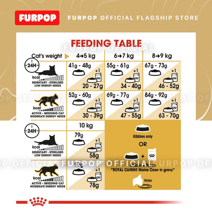 Royal Canin Maine Coon Adult (2kg) Dry Cat Food - Feline Breed Nutrition | FURPOP