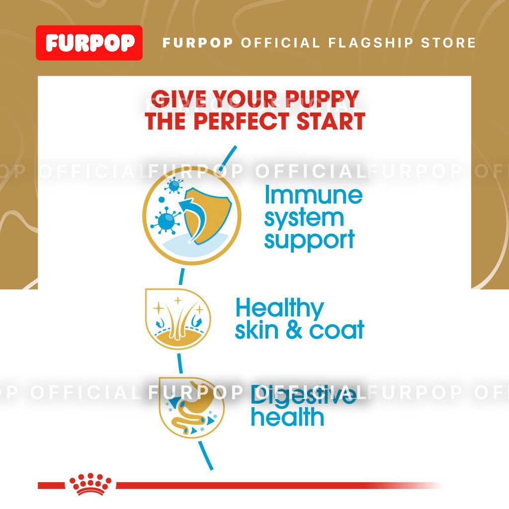 Royal Canin Golden Retriever Puppy (3kg) Dry Dog Food - Breed Health Nutrition