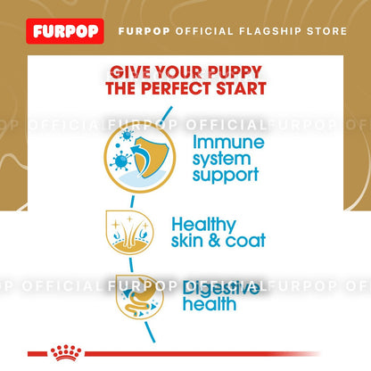 Royal Canin Golden Retriever Puppy (3kg) Dry Dog Food - Breed Health Nutrition