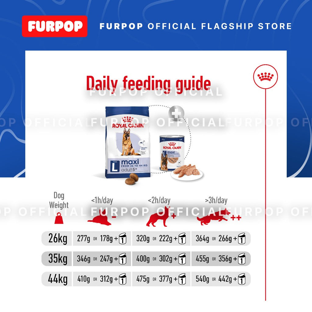 Royal Canin Maxi 5+ Adult (4KG) Dry Dog Food - Size Health Nutrition | FURPOP