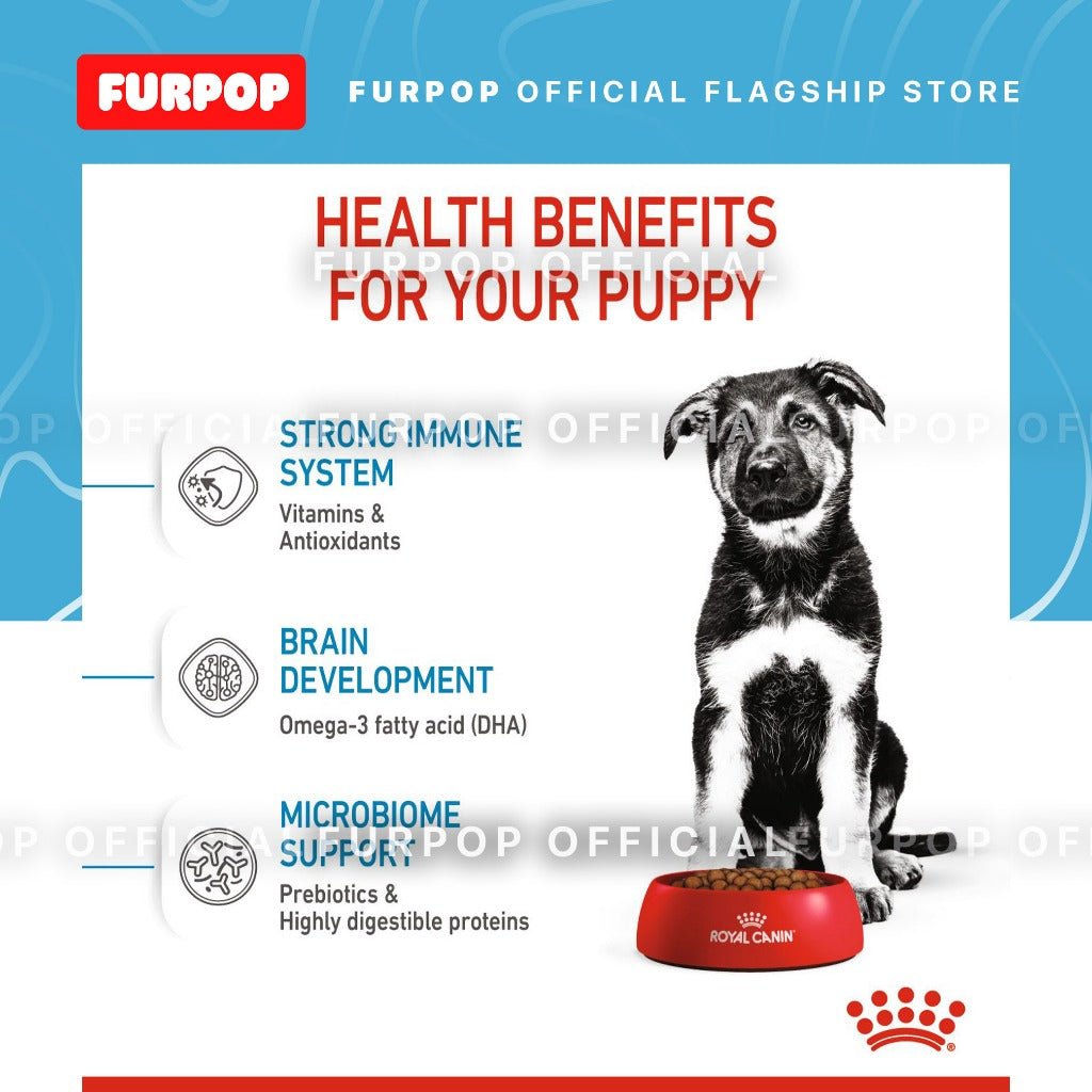 Royal Canin Maxi Puppy (4KG) Dry Dog Food - Size Health Nutrition | FURPOP