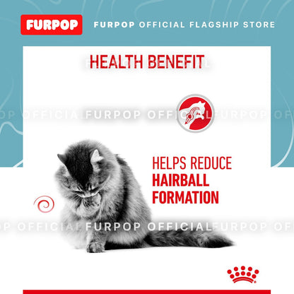Royal Canin 12pcs Hairball Care (85g x 12 pouches) Adult Wet Cat Food - Feline Care Nutrition