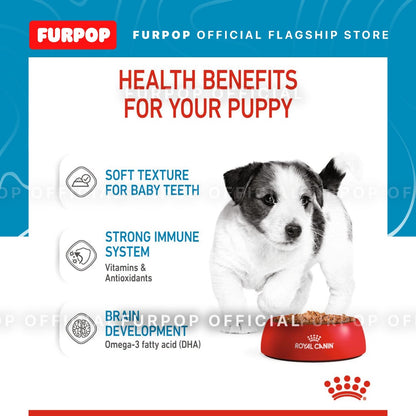 Royal Canin 12pcs Mini Puppy 85g x12pcs. Wet Dog Food - Size Health Nutrition | FURPOP
