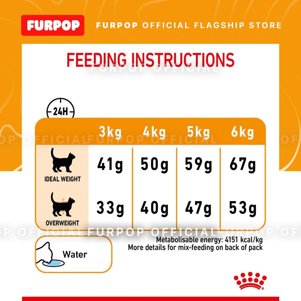 Royal Canin Hair & Skin Care 10KG Adult Dry Cat Food - Feline Care Nutrition