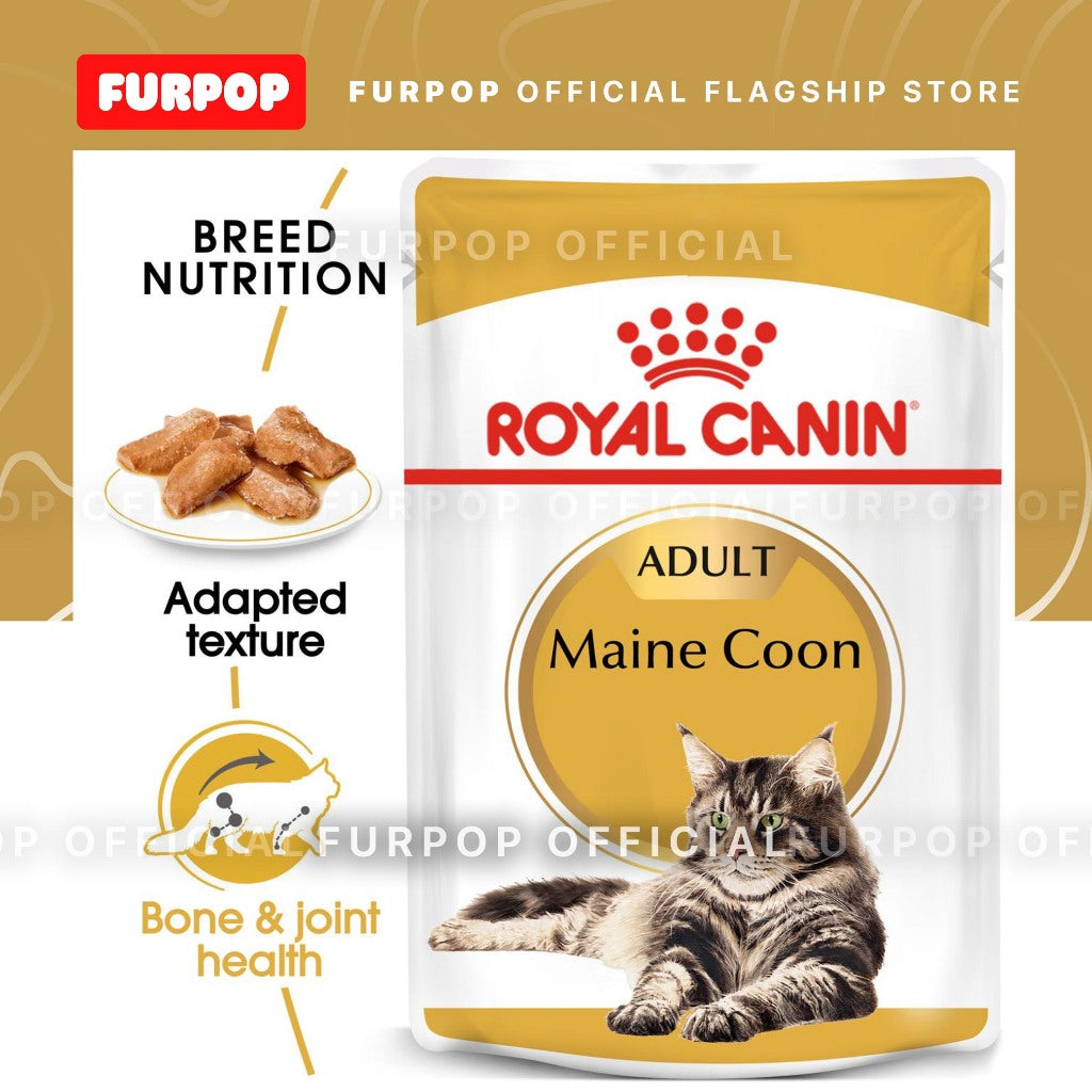 Royal Canin 12pcs Maine Coon Adult 85g x 12pcs(1box) Wet Cat Food - Feline Breed Nutrition | FURPOP