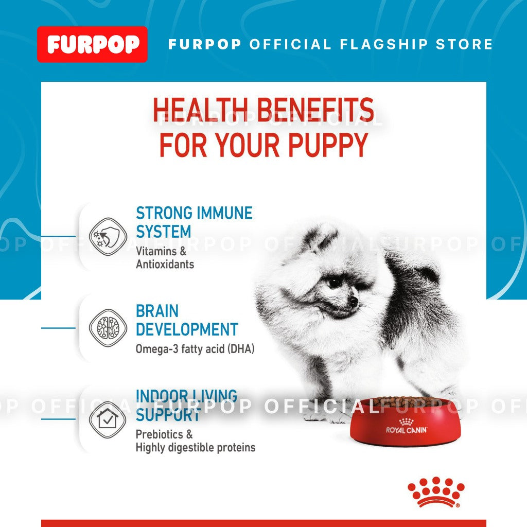 Royal Canin 1.5KG Mini Indoor Puppy (1.5kg) Dry Dog Food - Size Health Nutrition