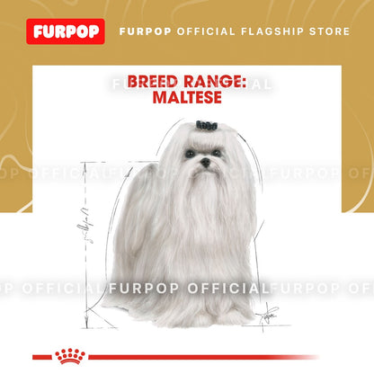 Royal Canin 1.5KG Maltese Adult Dry Dog Food - Breed Health Nutrition | FURPOP