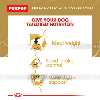 Royal Canin Beagle Adult (3kg) Dry Dog Food - Breed Health Nutrition | FURPOP