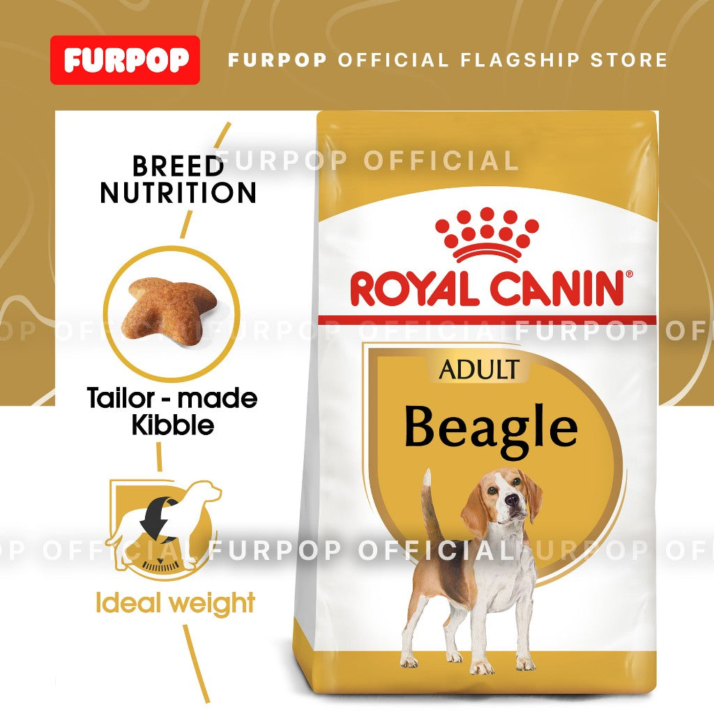 Royal Canin Beagle Adult (3kg) Dry Dog Food - Breed Health Nutrition | FURPOP
