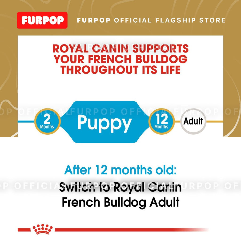 Royal Canin French Bulldog Puppy (3kg) Dry Dog Food - Breed Health Nutrition