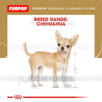 Royal Canin Chihuahua Adult 1.5kg Dry Dog Food - Breed Health Nutrition | FURPOP