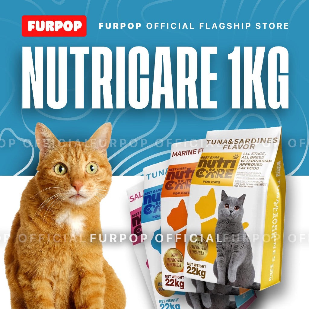 Nutricare Cat Pure Natural Dry Food All Stages Cat Food Repack 1KG
