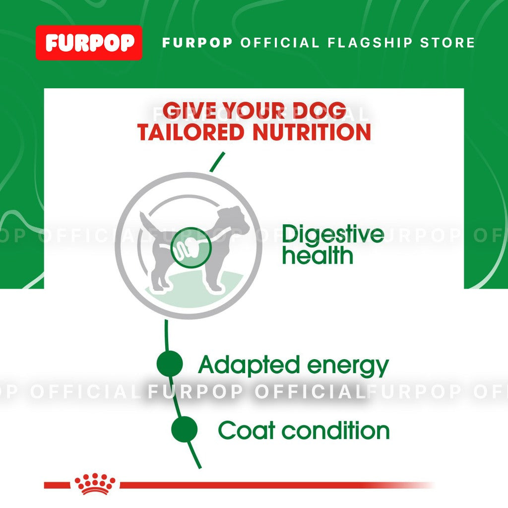Royal Canin 12pcs Mini Adult 1BOX(85g x 12pcs) Wet Dog Food - Size Health Nutrition | FURPOP