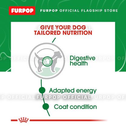 Royal Canin 12pcs Mini Adult 1BOX(85g x 12pcs) Wet Dog Food - Size Health Nutrition | FURPOP