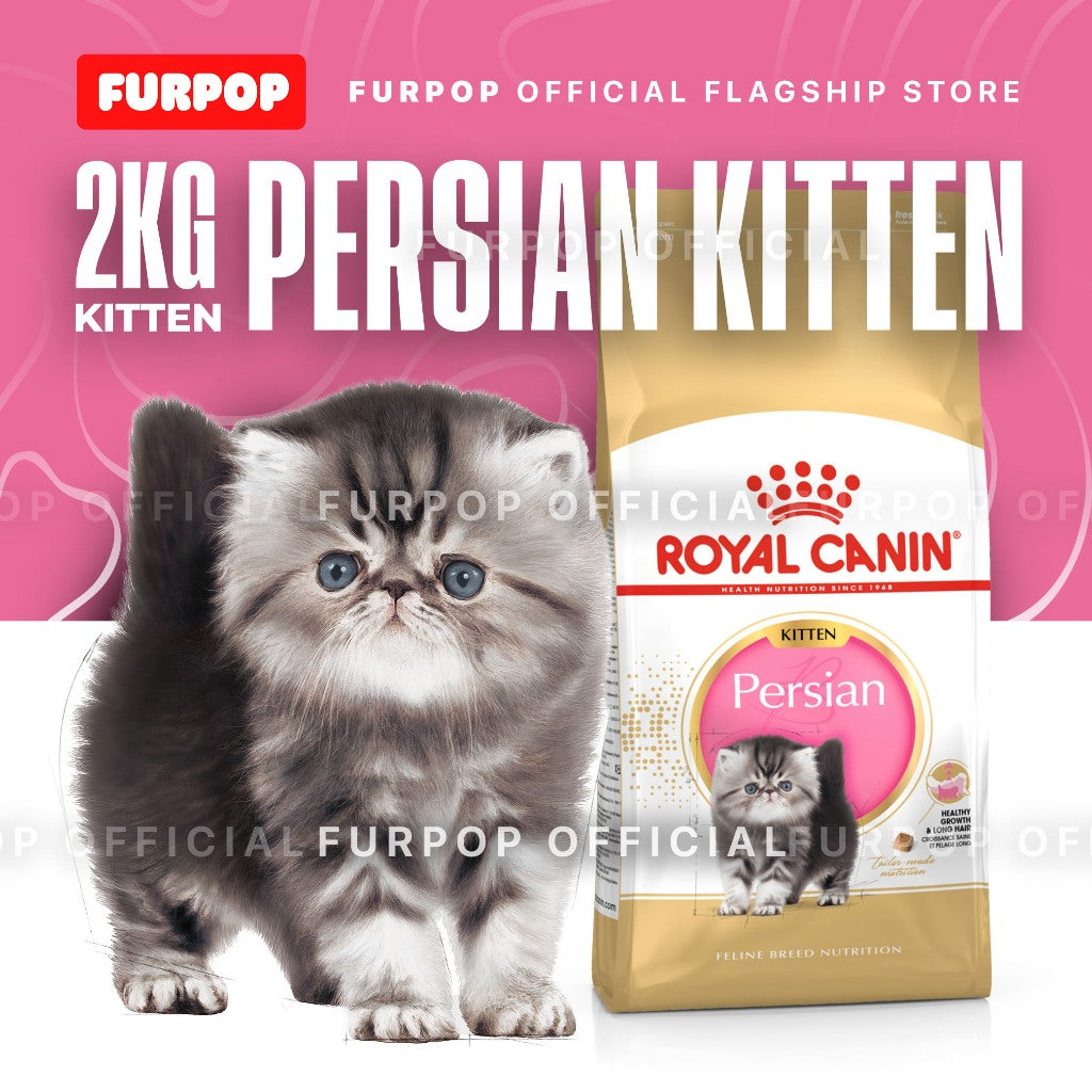Royal Canin Persian Kitten (2KG) Dry Cat Food - Feline Breed Nutrition | FURPOP