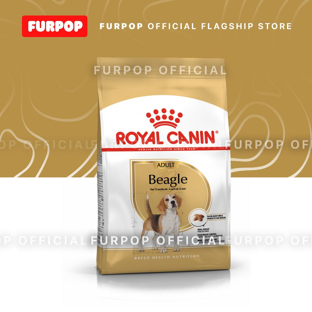 Royal Canin Beagle Adult (3kg) Dry Dog Food - Breed Health Nutrition | FURPOP