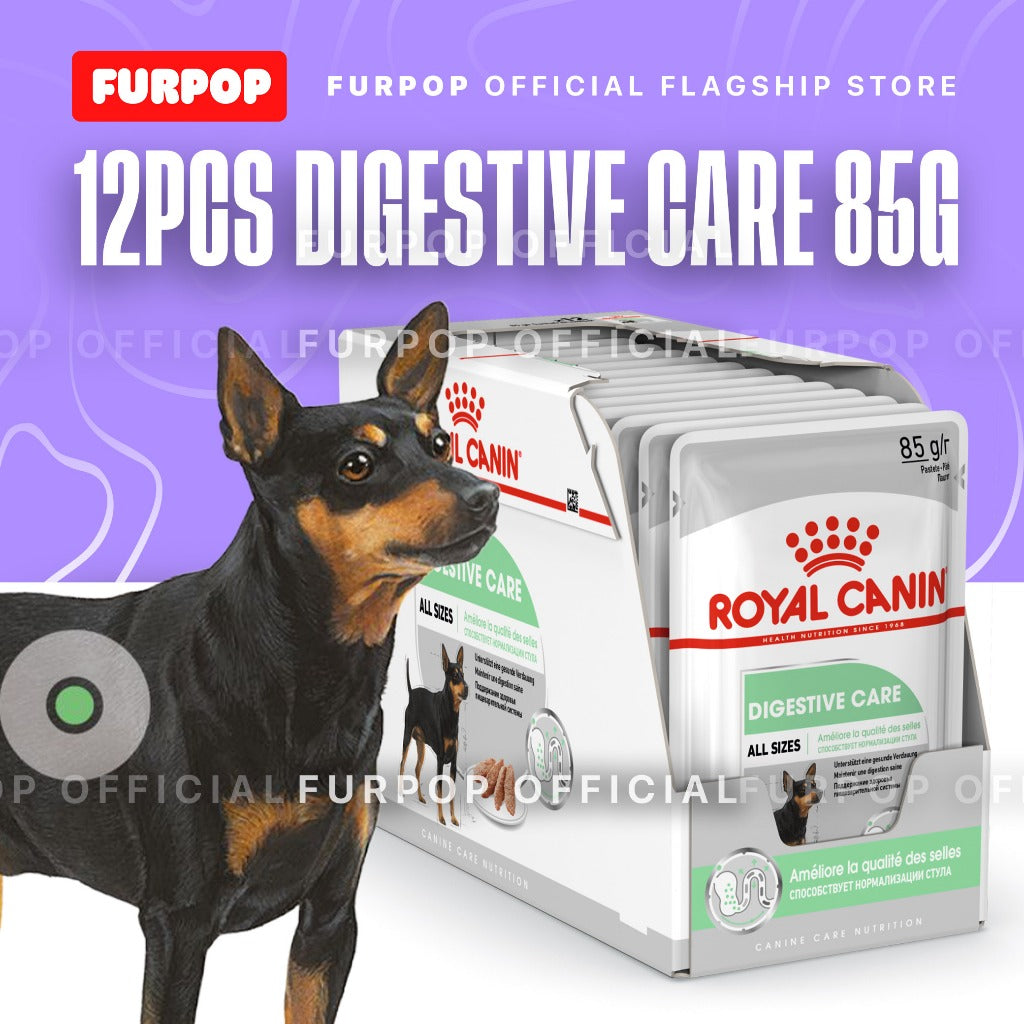 Royal Canin 12pcs Digestive Care (85g x 12 pouches) Adult Wet Dog Food - Canine Care Nutrition