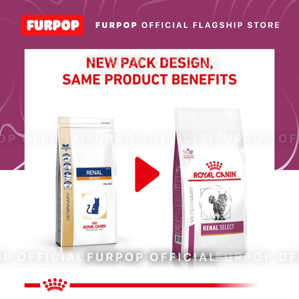 Royal Canin Renal Select for Feline Cat Food 2KG Veterinary Diet | FURPOP