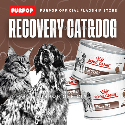 Royal Canin Recovery 195g Cat and Dog Food