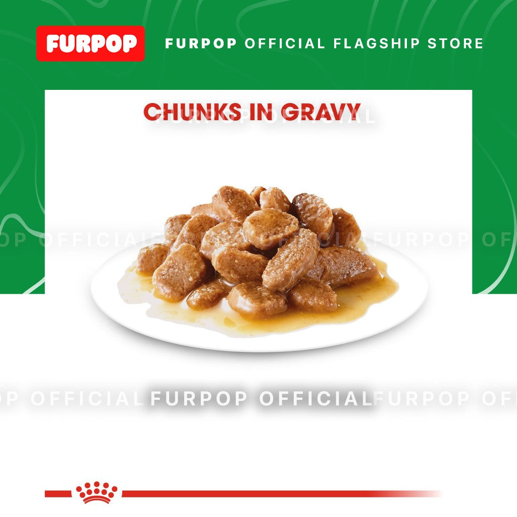 Royal Canin 12pcs Mini Adult 1BOX(85g x 12pcs) Wet Dog Food - Size Health Nutrition | FURPOP