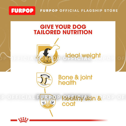 Royal Canin Labrador Adult (3kg) Dry Dog Food - Breed Health Nutrition