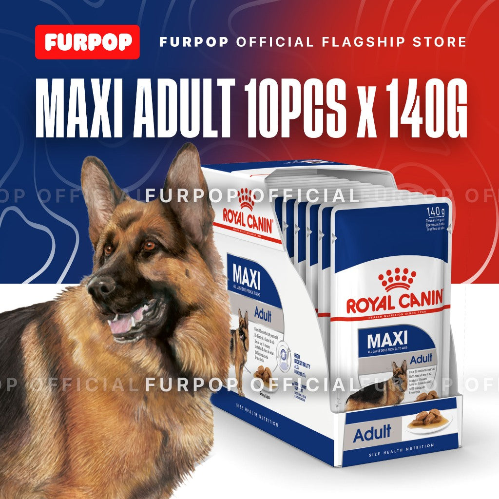 Royal Canin Maxi Adult (140g x 10 pouches) Wet Dog Food - Size Health Nutrition | FURPOP