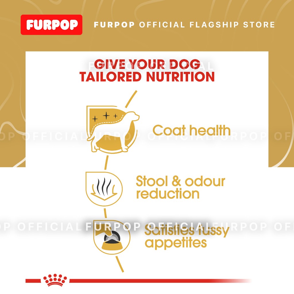 Royal Canin 1.5KG Maltese Adult Dry Dog Food - Breed Health Nutrition | FURPOP