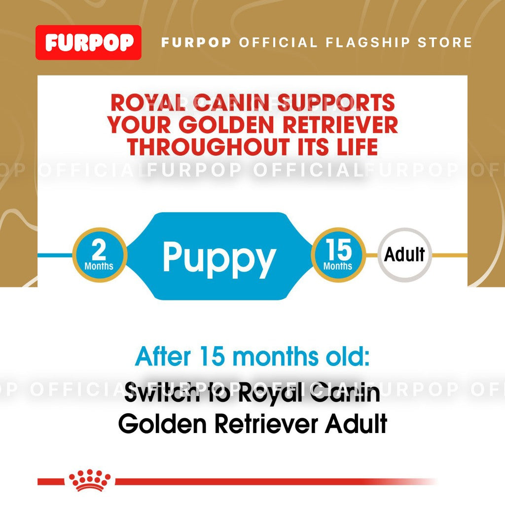 Royal Canin Golden Retriever Puppy (3kg) Dry Dog Food - Breed Health Nutrition