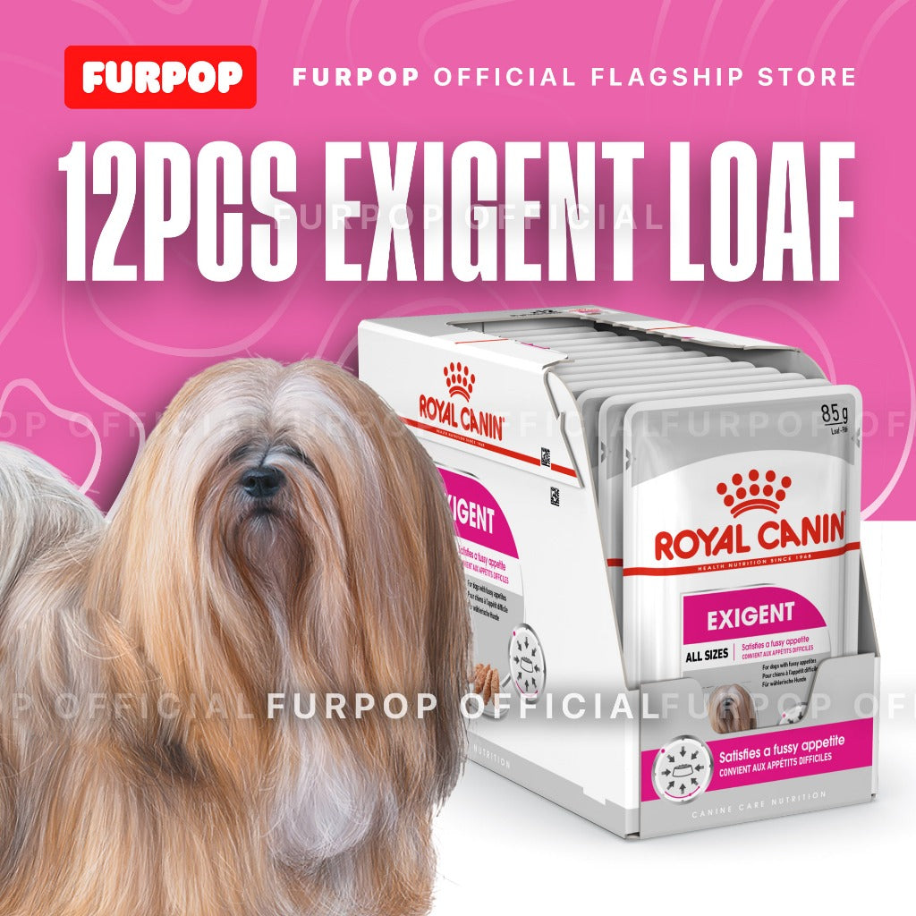 Royal Canin 12pcs Exigent Loaf (85g x 12 pouches) Adult Wet Dog Food - Canine Care Nutrition