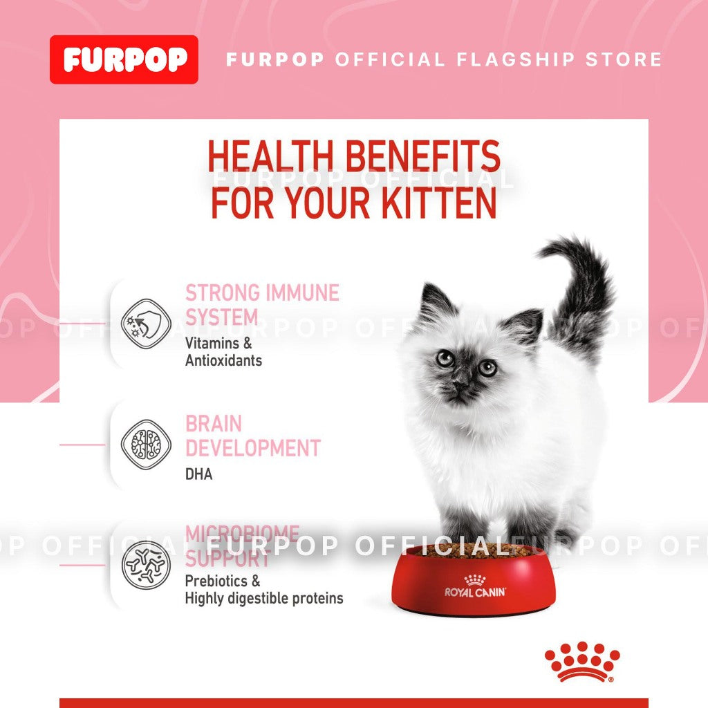 Royal Canin Kitten 36 400 Grams Dry Cat Food Feline Health Nutrition