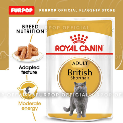 Royal Canin British Shorthair Adult 85Gx12 Wet Cat Food - Feline Breed Nutrition | FURPOP