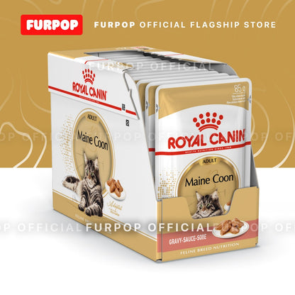 Royal Canin 12pcs Maine Coon Adult 85g x 12pcs(1box) Wet Cat Food - Feline Breed Nutrition | FURPOP