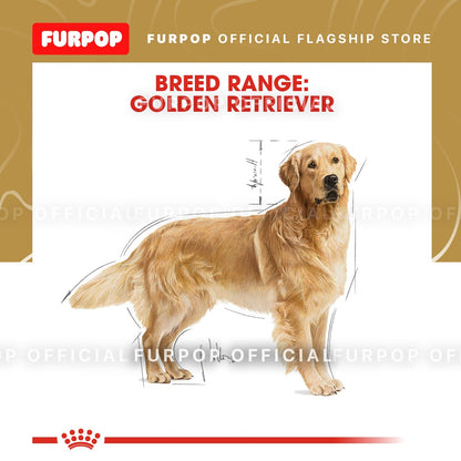 Royal Canin Golden Retriever Adult (3kg) Dry Dog Food - Breed Health Nutrition