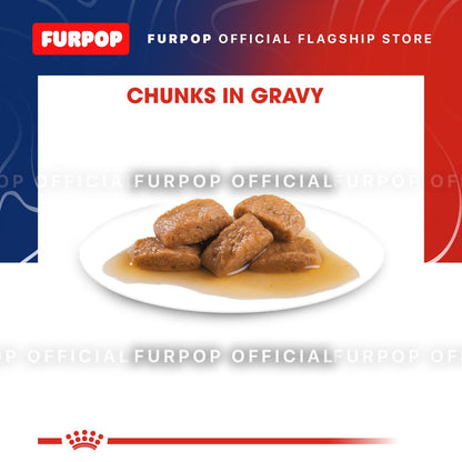 Royal Canin Maxi Adult (140g x 10 pouches) Wet Dog Food - Size Health Nutrition | FURPOP