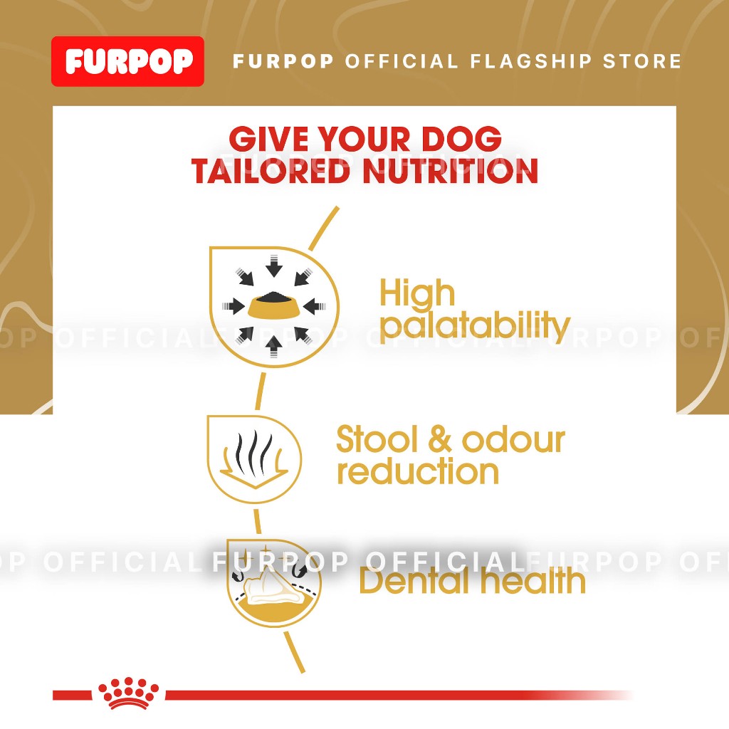 Royal Canin Chihuahua Adult 1.5kg Dry Dog Food - Breed Health Nutrition | FURPOP