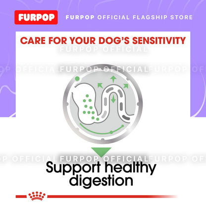 Royal Canin 12pcs Digestive Care (85g x 12 pouches) Adult Wet Dog Food - Canine Care Nutrition