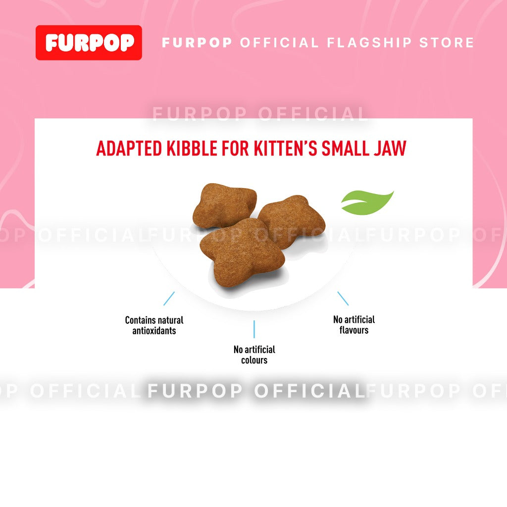 Royal Canin Sterilised Kitten 2KG Dry Food For Kitten 6-12 Months | FURPOP
