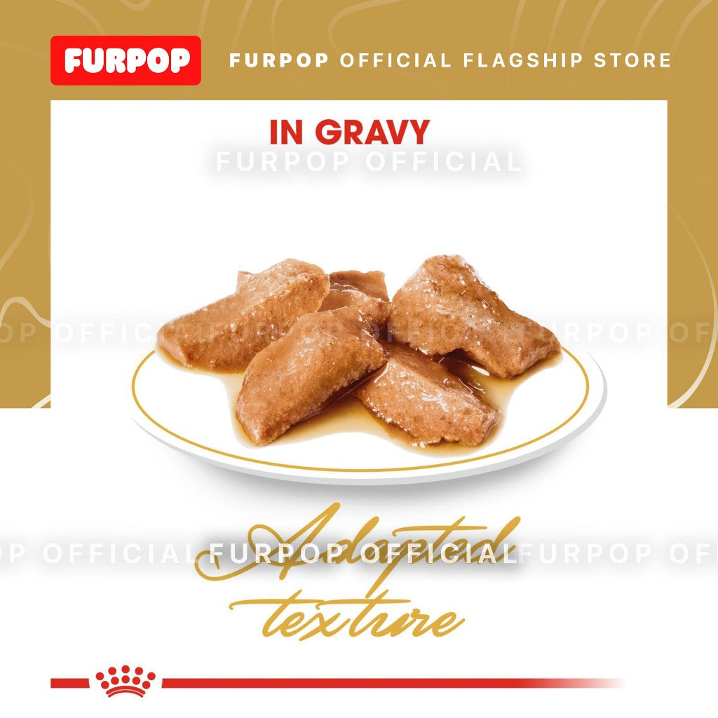 Royal Canin 12pcs Maine Coon Adult 85g x 12pcs(1box) Wet Cat Food - Feline Breed Nutrition | FURPOP