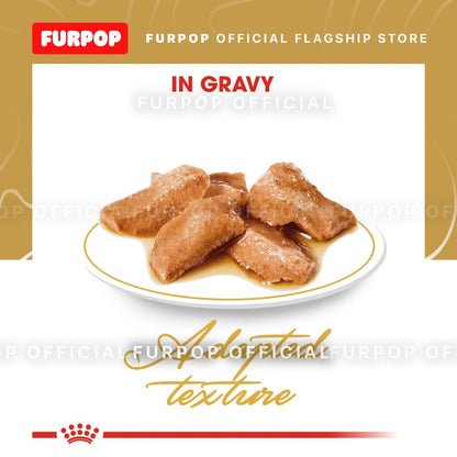Royal Canin 12pcs Maine Coon Adult 85g x 12pcs(1box) Wet Cat Food - Feline Breed Nutrition | FURPOP