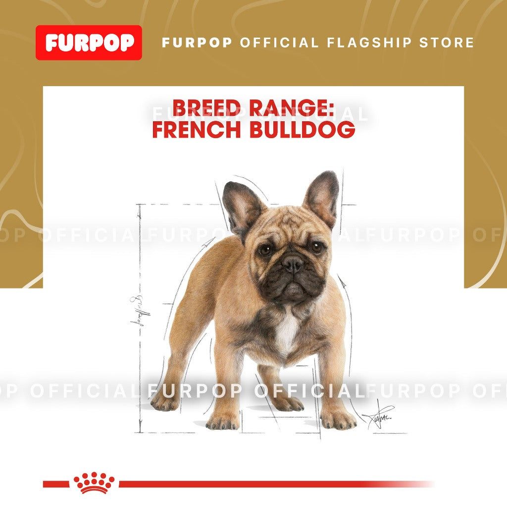 Royal Canin French Bulldog Adult (3kg) Dry Dog Food - Breed Health Nutrition
