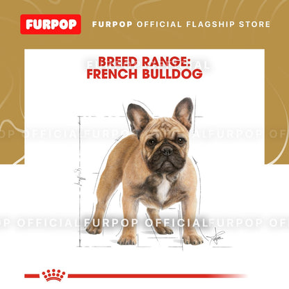 Royal Canin French Bulldog Adult (3kg) Dry Dog Food - Breed Health Nutrition