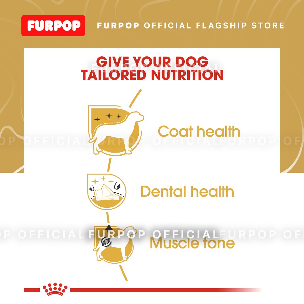 Royal Canin 1.5KG Poodle Adult Dry Dog Food - Breed Health Nutrition | FURPOP
