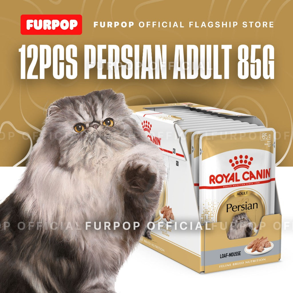 Royal Canin Persian Adult (12pcs Pouch 85g - 1BOX) Wet Cat Food - Feline Breed Nutrition