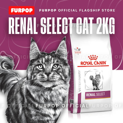 Royal Canin Renal Select for Feline Cat Food 2KG Veterinary Diet | FURPOP